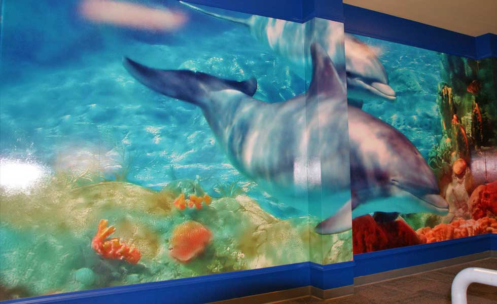 Aquatic Life, Up Close and Personal